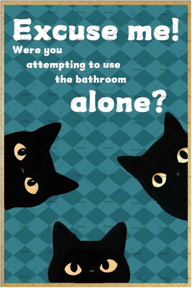 excuse me were you attempting  - огляд і ціна Home Alone Bathroom