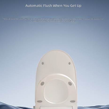Heated Smart Toilet Seat, Auto - огляд і ціна Home And Bathroom