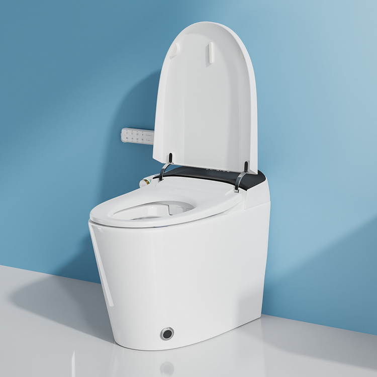 Home Decoration Bathroom Smart - огляд і ціна Home And Bathroom