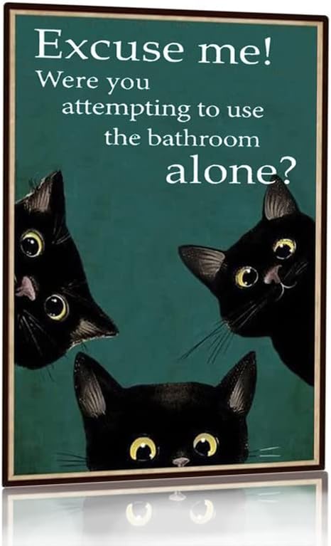 Funny Black Cat Bathroom Decor - огляд і ціна Home Alone Bathroom
