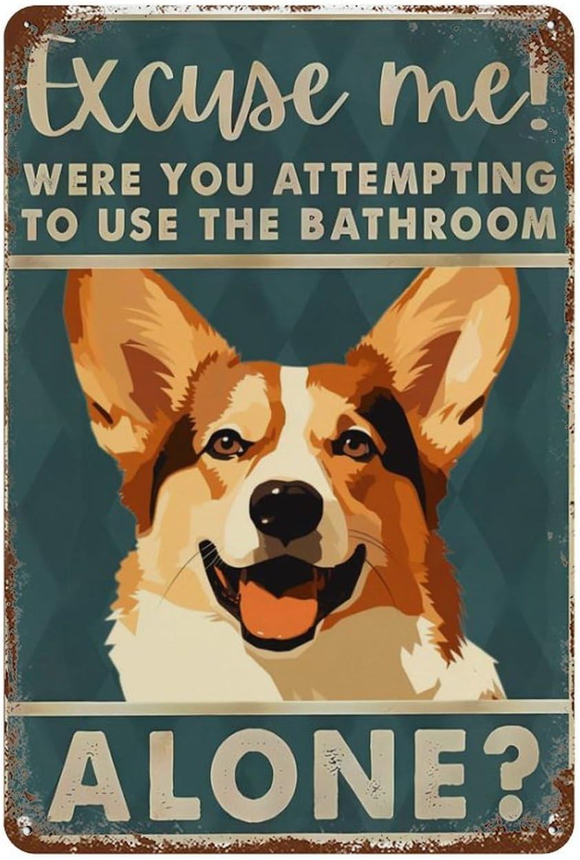 Tin Signs Retro Corgi Excuse M - огляд і ціна Home Alone Bathroom